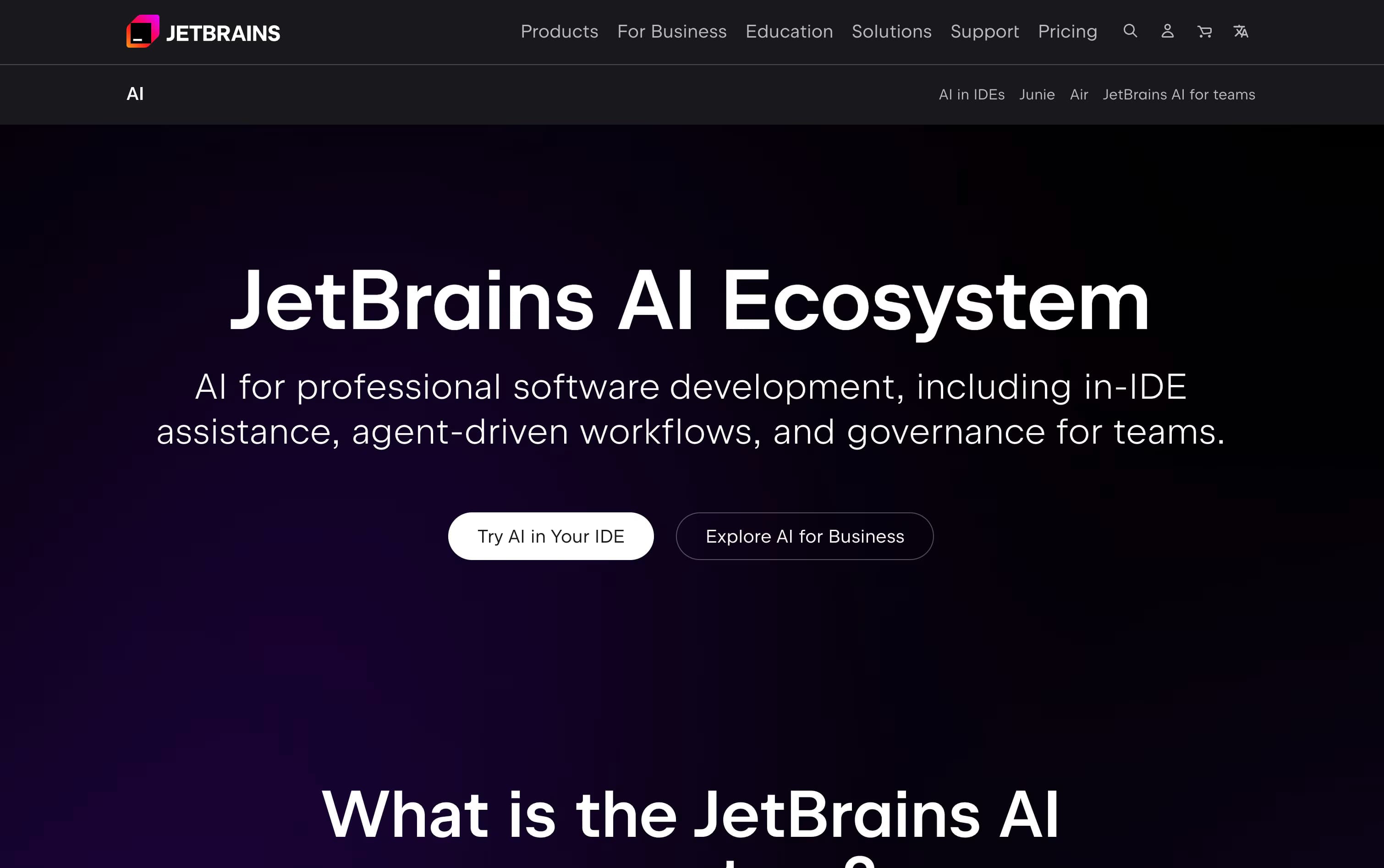 JetBrains AI featured screenshot