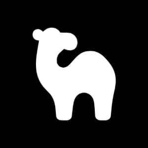 camelAI logo camelAI logo