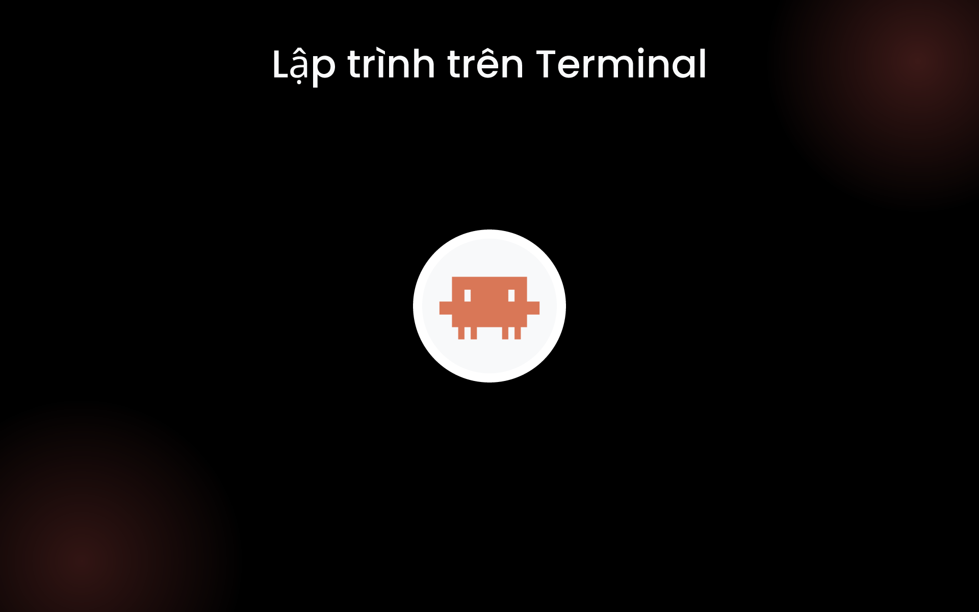 Lập trình trên Terminal tools