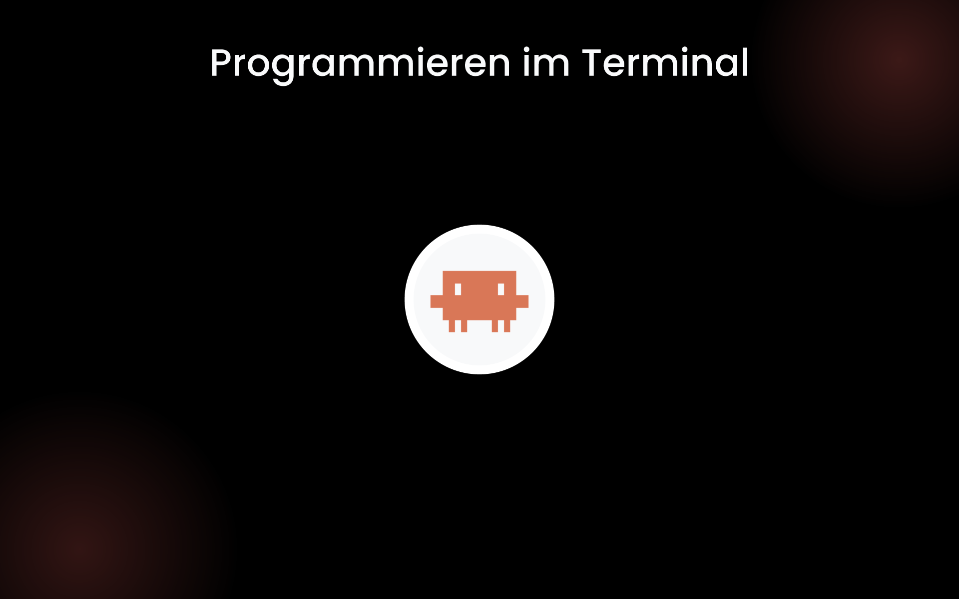 Programmieren im Terminal tools Programmieren im Terminal tools