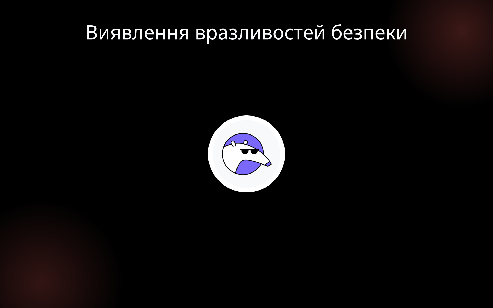 Виявлення вразливостей безпеки tools