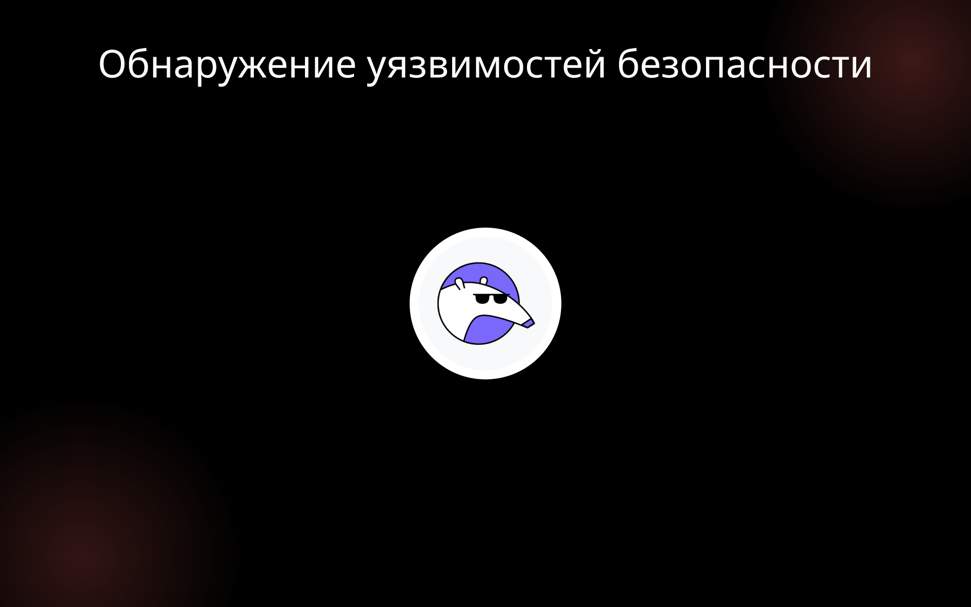 Обнаружение уязвимостей безопасности tools