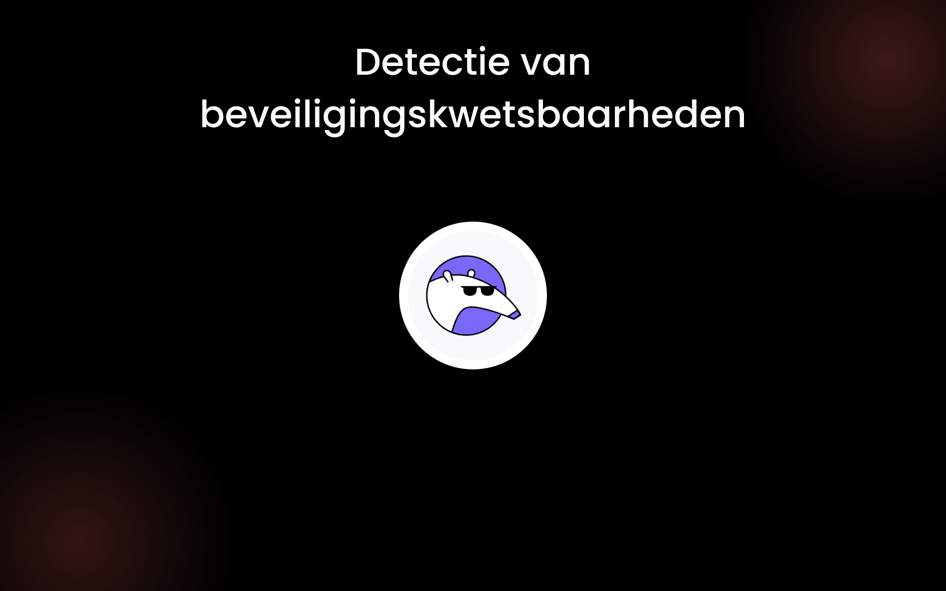 Detectie van beveiligingskwetsbaarheden tools