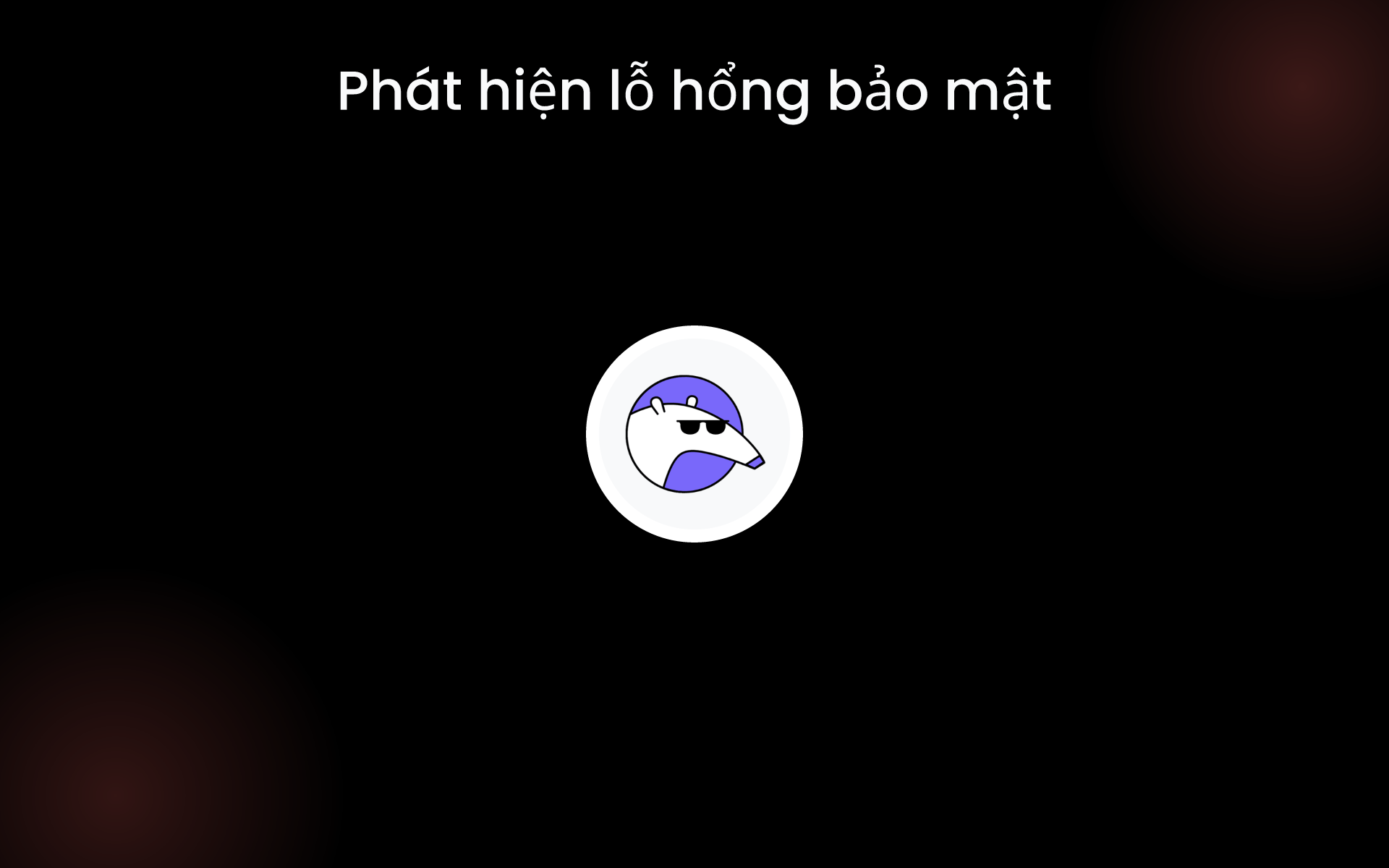 Phát hiện lỗ hổng bảo mật tools Phát hiện lỗ hổng bảo mật tools