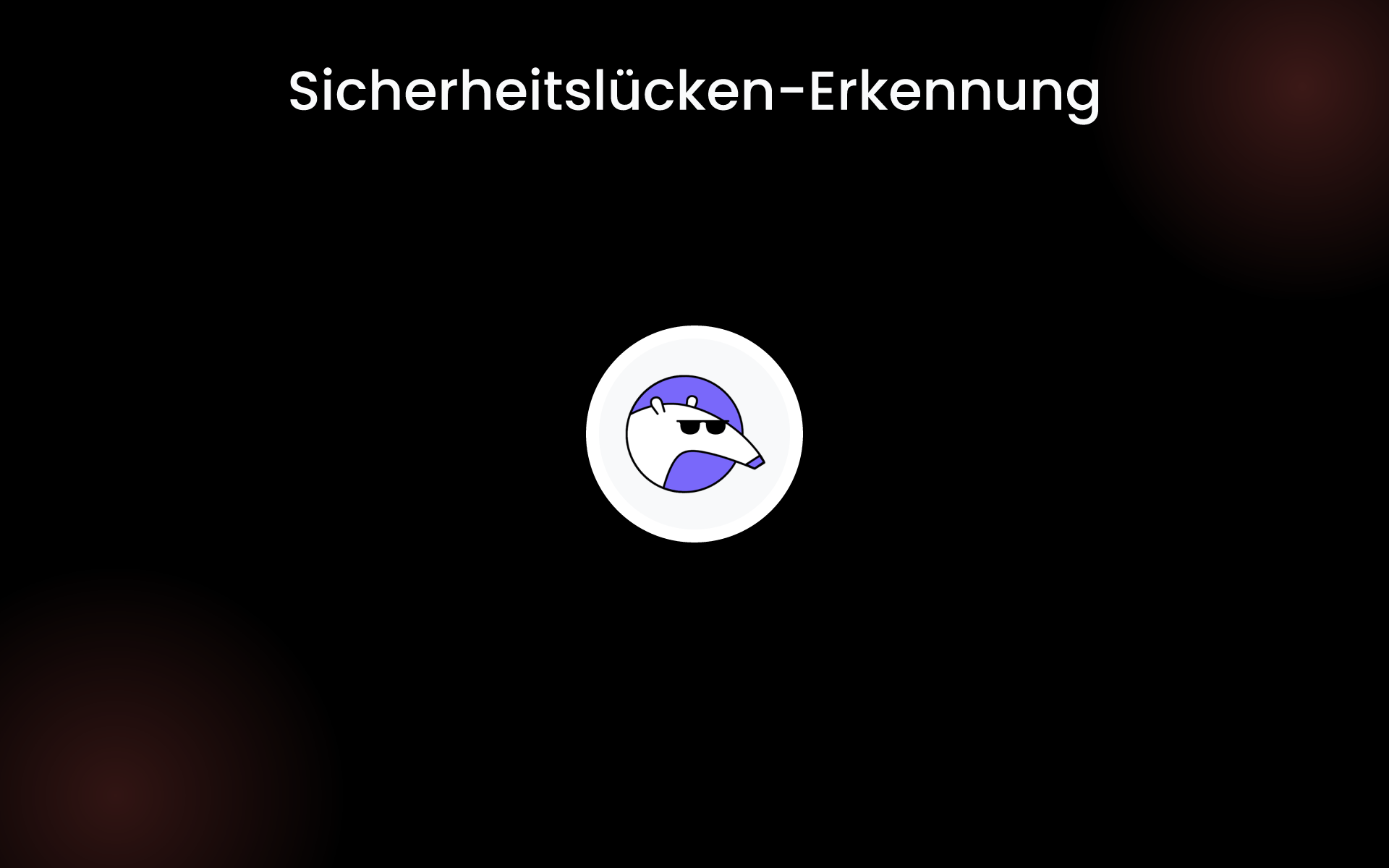 Sicherheitslücken-Erkennung tools