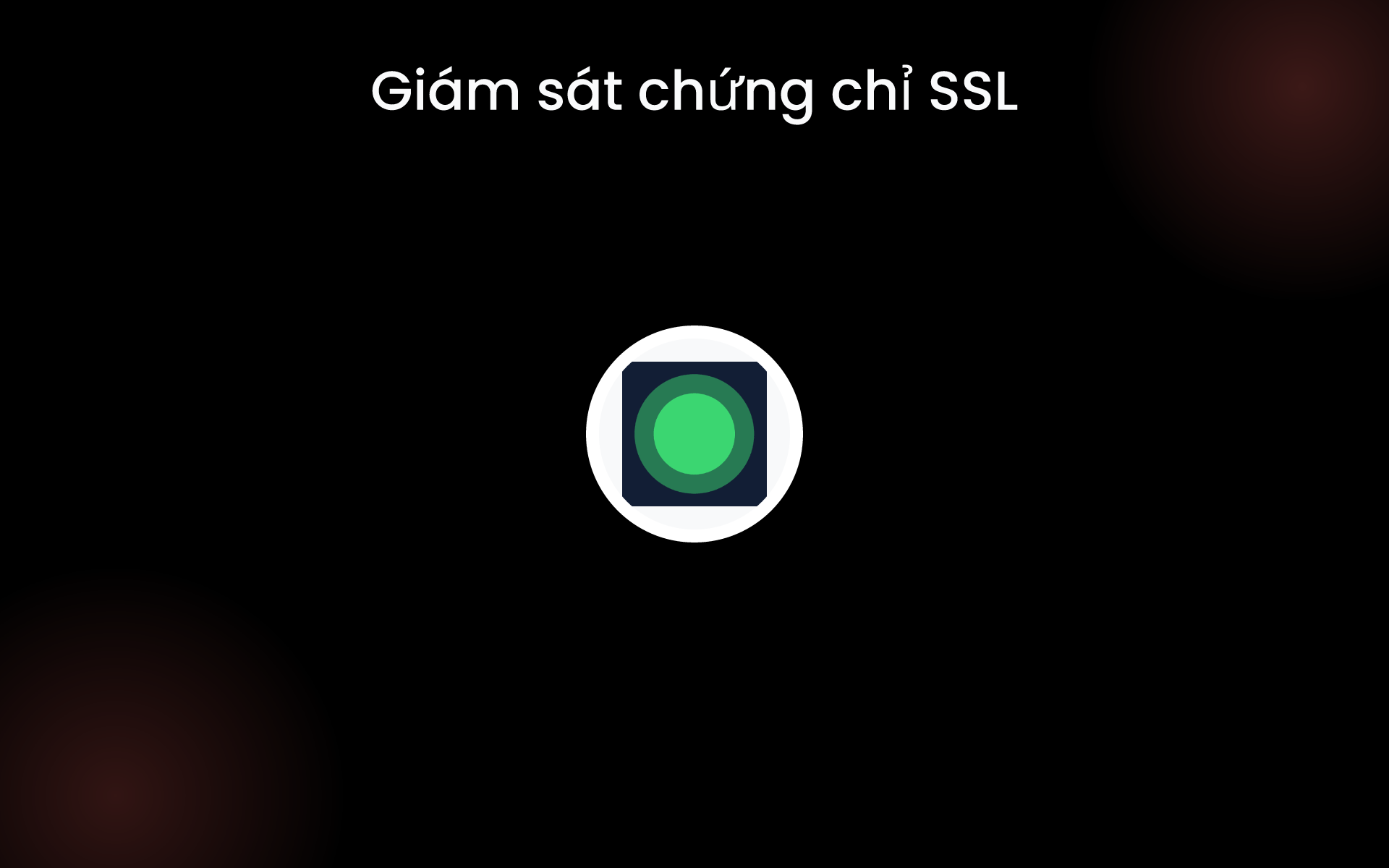 Giám sát chứng chỉ SSL tools Giám sát chứng chỉ SSL tools