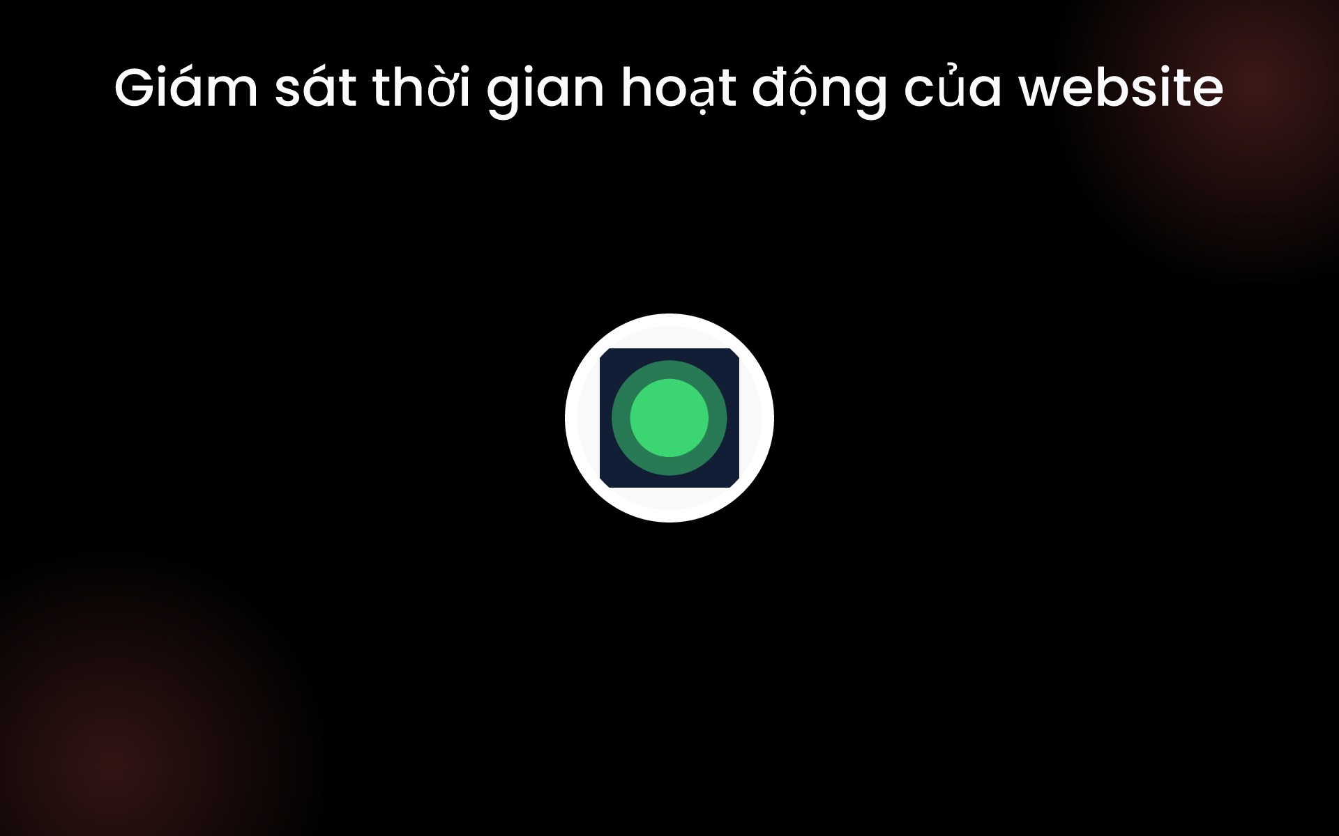Giám sát thời gian hoạt động của website tools
